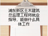 浦东新区土木建筑总监理工程师就业指导，能做什么具体工作