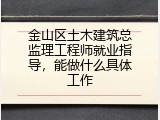 金山区土木建筑总监理工程师就业指导，能做什么具体工作