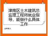 津南区土木建筑总监理工程师就业指导，能做什么具体工作
