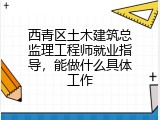 西青区土木建筑总监理工程师就业指导，能做什么具体工作