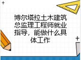 博尔塔拉土木建筑总监理工程师就业指导，能做什么具体工作