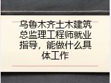 乌鲁木齐土木建筑总监理工程师就业指导，能做什么具体工作