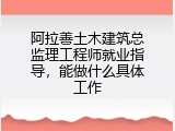 阿拉善土木建筑总监理工程师就业指导，能做什么具体工作