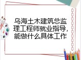 乌海土木建筑总监理工程师就业指导，能做什么具体工作