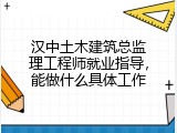 汉中土木建筑总监理工程师就业指导，能做什么具体工作