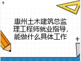 惠州土木建筑总监理工程师就业指导，能做什么具体工作