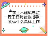 广东土木建筑总监理工程师就业指导，能做什么具体工作