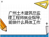 广州土木建筑总监理工程师就业指导，能做什么具体工作