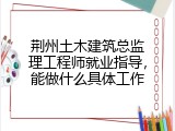 荆州土木建筑总监理工程师就业指导，能做什么具体工作