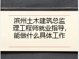 滨州土木建筑总监理工程师就业指导，能做什么具体工作