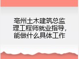 亳州土木建筑总监理工程师就业指导，能做什么具体工作