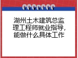湖州土木建筑总监理工程师就业指导，能做什么具体工作