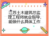 江苏土木建筑总监理工程师就业指导，能做什么具体工作