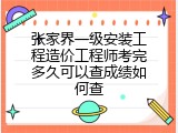 张家界一级安装工程造价工程师考完多久可以查成绩如何查