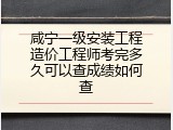 咸宁一级安装工程造价工程师考完多久可以查成绩如何查