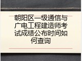 朝阳区一级通信与广电工程建造师考试成绩公布时间如何查询