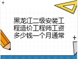 黑龙江二级安装工程造价工程师工资多少钱一个月通常