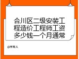 合川区二级安装工程造价工程师工资多少钱一个月通常