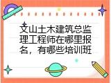 文山土木建筑总监理工程师在哪里报名，有哪些培训班