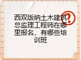 西双版纳土木建筑总监理工程师在哪里报名，有哪些培训班