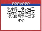 张家界一级安装工程造价工程师网上报名服务平台网址多少