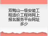 双鸭山一级安装工程造价工程师网上报名服务平台网址多少