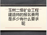 玉树二级矿业工程建造师的报名费用是多少有什么要求呢