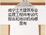 咸宁土木建筑专业监理工程师考试代报名和培训机构哪里有