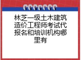 林芝一级土木建筑造价工程师考试代报名和培训机构哪里有