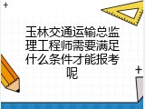 玉林交通运输总监理工程师需要满足什么条件才能报考呢