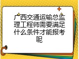 广西交通运输总监理工程师需要满足什么条件才能报考呢