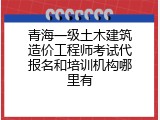 青海一级土木建筑造价工程师考试代报名和培训机构哪里有