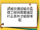 武威交通运输总监理工程师需要满足什么条件才能报考呢