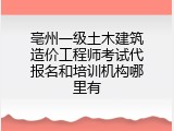 亳州一级土木建筑造价工程师考试代报名和培训机构哪里有