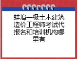蚌埠一级土木建筑造价工程师考试代报名和培训机构哪里有
