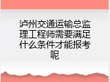 泸州交通运输总监理工程师需要满足什么条件才能报考呢