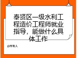 奉贤区一级水利工程造价工程师就业指导，能做什么具体工作