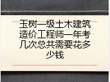 玉树一级土木建筑造价工程师一年考几次总共需要花多少钱