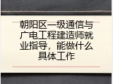 朝阳区一级通信与广电工程建造师就业指导，能做什么具体工作