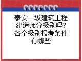泰安一级建筑工程建造师分级别吗？各个级别报考条件有哪些