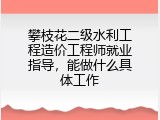 攀枝花二级水利工程造价工程师就业指导，能做什么具体工作