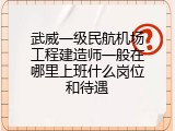 武威一级民航机场工程建造师一般在哪里上班什么岗位和待遇
