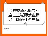 武威交通运输专业监理工程师就业指导，能做什么具体工作