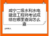 咸宁二级水利水电建造工程师考试成绩在哪里查询怎么查