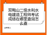双鸭山二级水利水电建造工程师考试成绩在哪里查询怎么查