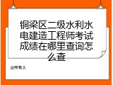 铜梁区二级水利水电建造工程师考试成绩在哪里查询怎么查