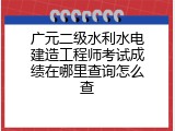 广元二级水利水电建造工程师考试成绩在哪里查询怎么查