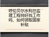 呼伦贝尔水利总监理工程师好找工作吗，如何领取国家补贴