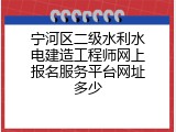 宁河区二级水利水电建造工程师网上报名服务平台网址多少