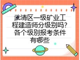 武清区一级矿业工程建造师分级别吗？各个级别报考条件有哪些